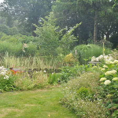 De Hoge Peel Bed & Breakfast